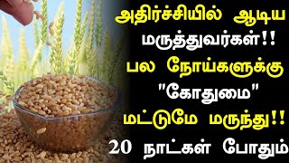 கோதுமை சாப்பிட்டால் நடக்கும் அதிசயம்! | Wheat Benefits in Tamil| Wheat Health Tips in Tamil Part-03