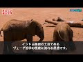 パラレルワールドが生まれる驚愕の瞬間！？未来を変える◯◯の法則【都市伝説】