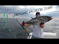 Trolling Small School Bluefin Tuna