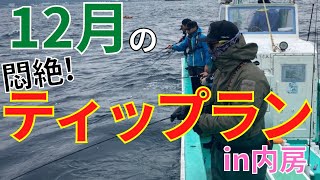 【勝山港】真冬のティップランで悶絶してきた【アオリイカ釣れた】