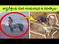 Top 6 Amazing archeology discoveries | Facts in Telugu | Shark fossils | dog | BMC Facts