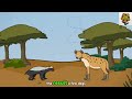 why it sucks to be born as a fearless honey badger