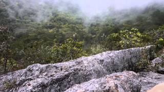 20130505第四十九彈台中東勢大雪山林道之鳶嘴山之稜線攀岩之驚險刺激00128