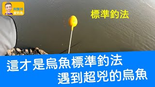 【阿賢爸】愛釣魚 Ep.175  這才是烏魚標準釣法 遇到超兇的烏魚       (珠鉤釣法阿賢爸大咬釣組金珠釣法) [半字幕]