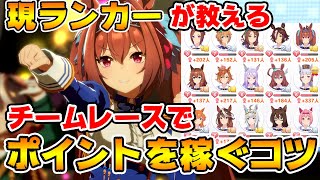 【ウマ娘】現ランカーが本当は教えたくないチームレースでポイントを稼ぐコツについて全部教えちゃいます！【ウマ娘プリティーダービー】