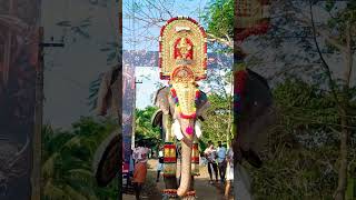 ഒരു അടാർ നിലവ് 💥ചിറക്കൽ കാളിദാസൻ #chirakkal#bahubalibody #elephant