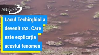 Lacul Techirghiol a devenit roz. Care este explicaţia acestui fenomen