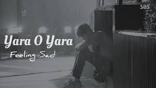 Yara O Yara Teri Adaao Ne Mara ( Slowed Reverb ) Feeling Very Sad | LoFi747|