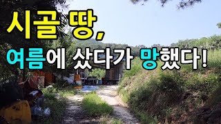 시골 땅, 겨울에 사야하는 이유는? (10년차 귀촌인의 귀촌 노하우)