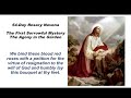 54 day rosary novena day 14 february 22 2025