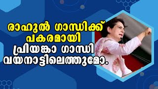 Priyanka Gandhi | Malayalam Latest News | രാഹുൽ ഗാന്ധിക്ക് പകരമായി പ്രിയങ്കാ ഗാന്ധി വയനാട്ടിലെത്തുമോ