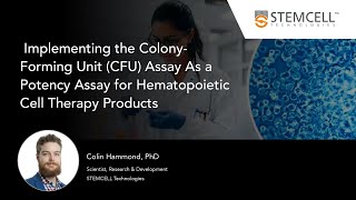 Implementing the CFU Assay As a Potency Assay for Hematopoietic Cell Therapy Products