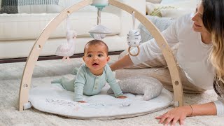 introducing the play + discover activity gym from aden + anais™