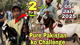 Lalukhet Bakra Mandi Latast Rates Update 05 Jan 2025 | Sunday Bakra Mandi in Karachi