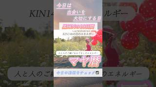 マヤ暦で今日の過ごし方が分かる✨KIN146のエネルギー／白い世界の橋渡し 黄色い種 音3 #shorts #マヤ暦 #マヤ暦占い #占い #スピリチュアル #ハイヤーセルフ #潜在意識 #黒kin