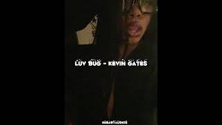 kevin gates - luv bug [sped up]