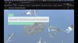 HMH: Ed Linking Tool in Canvas
