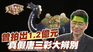 【精華版】曾拍出1.2億元 真假唐三彩大辨別