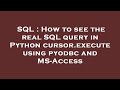 SQL : How to see the real SQL query in Python cursor.execute using pyodbc and MS-Access