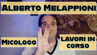 Micologo 🍄 Alberto Melappioni 🍄 - LAVORI IN CORSO