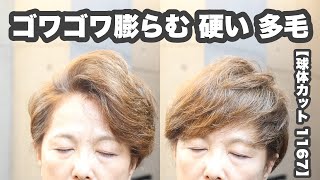 ゴワゴワに膨らむ多毛を 自由自在なショートヘアに【物理的な 球体カット1167】