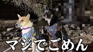 やっちまった…飼い主の準備不足で旅が台無しになった元保護犬の顔が冷たい