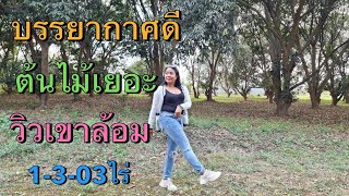 บรรยากาศดี ต้นไม้ วิวภูเขาล้อม[EP.952] 1-3-03ไร่ ราคาถูก