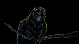 Why Crows Can Recognize And Remember Human Faces For Years