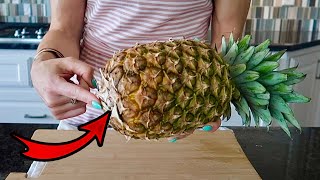 No Knife Pineapple Hack 🍍(how to pull apart a pineapple & correctly eat it) Clea