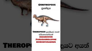 මේ ලෝකේ හිටි හොඳම ඩයිනොසෝර් සෙට් එක #dinosaur