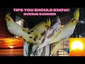 WHAT WE DO AT OUR AVIARY DURING SUMMER SEASON COCKATIELS | OUTDOOR TAMIZHAN BIRDS SUMMER TIPS