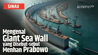 Apa Itu Giant Sea Wall yang Bakal Jadi Pagar Pulau Jawa? | SINAU