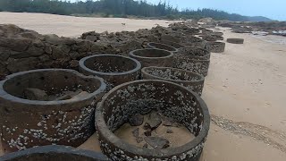 海边废弃一堆烂井圈，退潮后困住好多大货，阿彬一路抓爽了