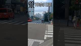 神奈川県と東京都の信号機動作の違い#short #信号機