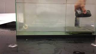 Shallow#1 (Wave Depth Vs Velocity Lab)