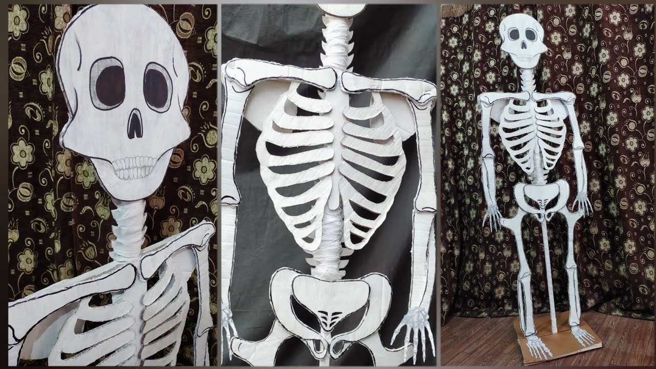 3d Skeletal System Project 3d Model Human Skeleton Organs Lies