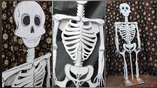 3-D skeleton model with cardboard sheet