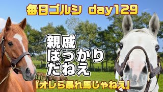 毎日ゴルシ『オレら暴れ馬じゃねえ』day129