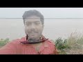 ইলিশের খোঁজে রূপনারায়ণের কূলে।। hilsa।। rupnarayan river foodvlog hilsa fishing