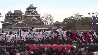 長崎大学「突風」 火の国YOSAKOIまつり2016