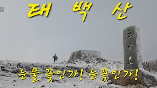 [태백산] 폭설로 설악산 통제! 오대산 통제!!우린 어디로 발길을 가야하나?#꼬북부부등산tv