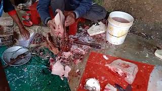 Giant Chital Fish Cutting #fish #fishcutting #youtube #bigfish