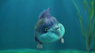 CGI Fish Animation | Animaster Studio