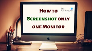 How to Screenshot only one Monitor on Windows 11/10