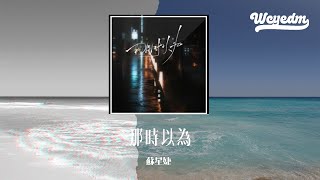 苏星婕 - 那时以为（DJAh版）「那时以为我们会有个好结局 却不知道原来你和谁都可以」【動態歌詞/pīn yīn gē cí】#苏星婕 #那时以为 #動態歌詞