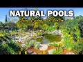 Building HUGE Natural Pools and Swim Ponds - No Chlorine or Chemicals