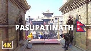 Nepal's Most Visited Tourist Attraction in KATHMANDU-4K Virtual Tour of PASHUPATINATH Temple