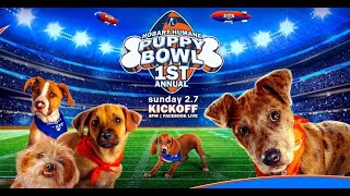 2021 HSH Puppy Bowl Pre-Game