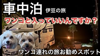 【車中泊】れお号で行く秋の伊豆　ワンコ連れ旅お勧めスポット