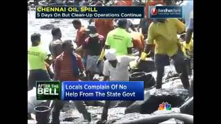 Chennai Oil Spill: Marine Life Severely Hit